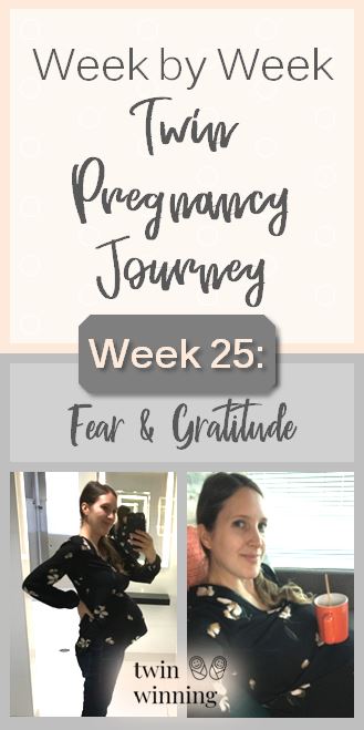 Week 25 Twin Pregnancy Experience