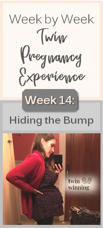 Week 14 twin pregnancy experience