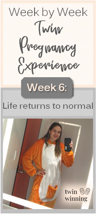 week 6 twin pregnancy journey