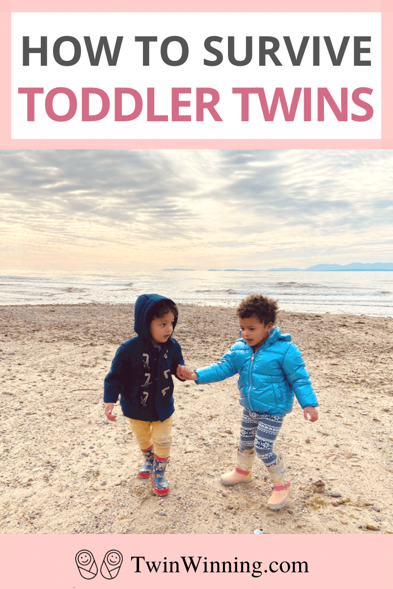how to survive toddler twins