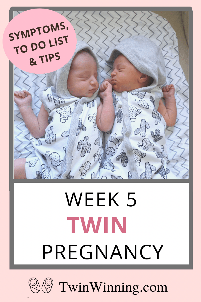 twin pregnancy week 5: what to expect
