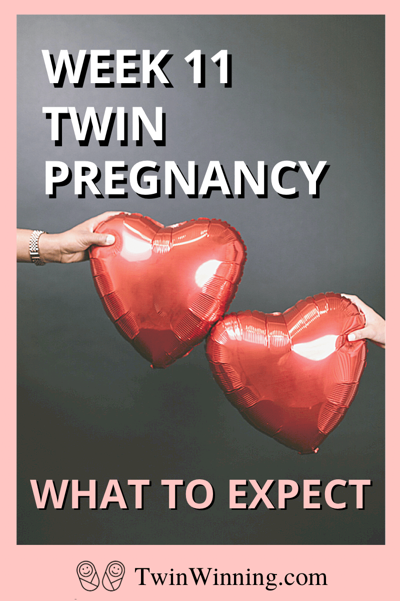 twin pregnancy week 11: what to expect