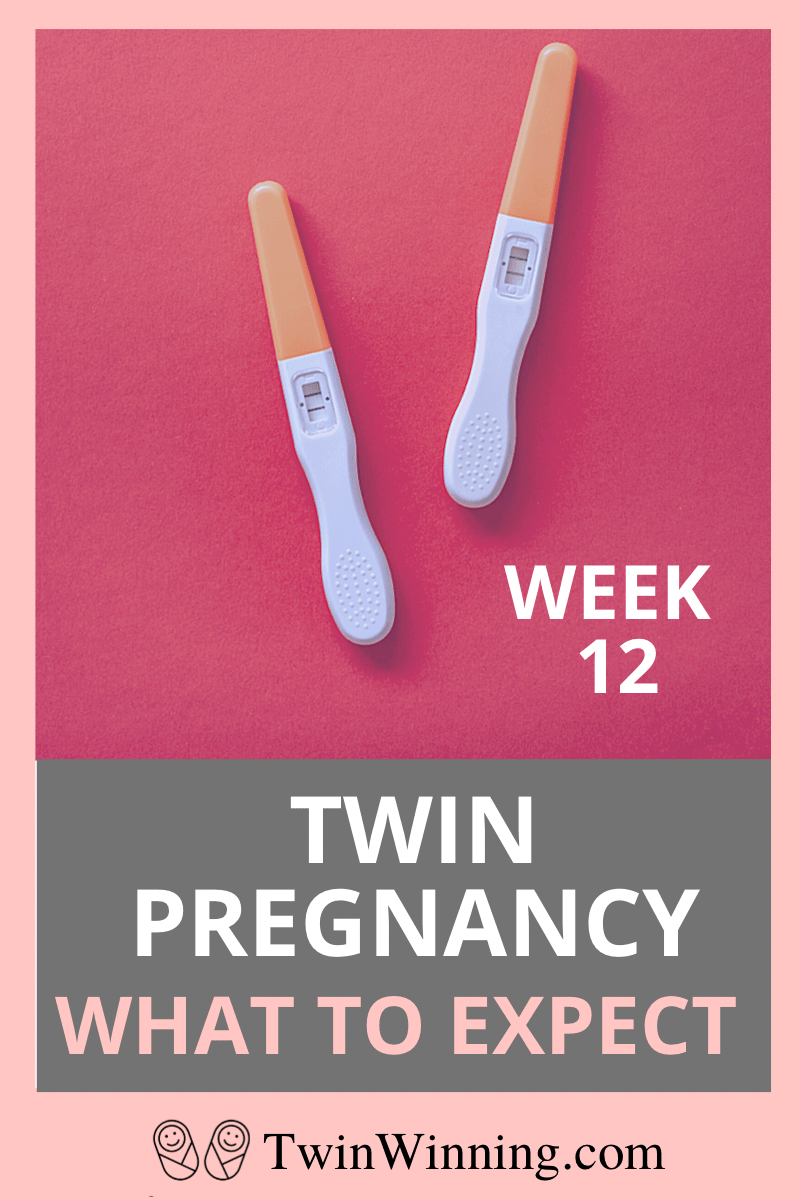 twin pregnancy week 12: what to expect