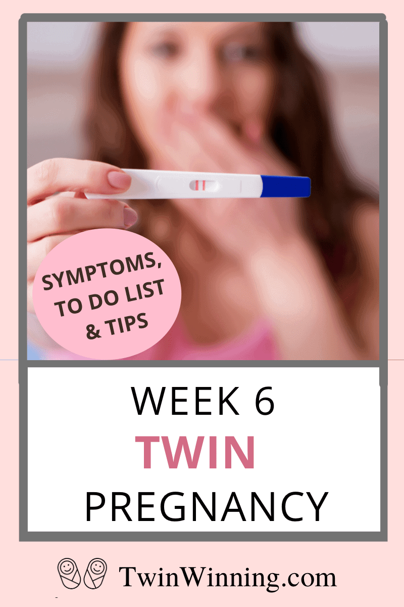 twin pregnancy week 6: what to expect
