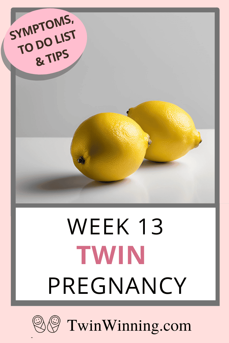 Week 13 twin pregnancy